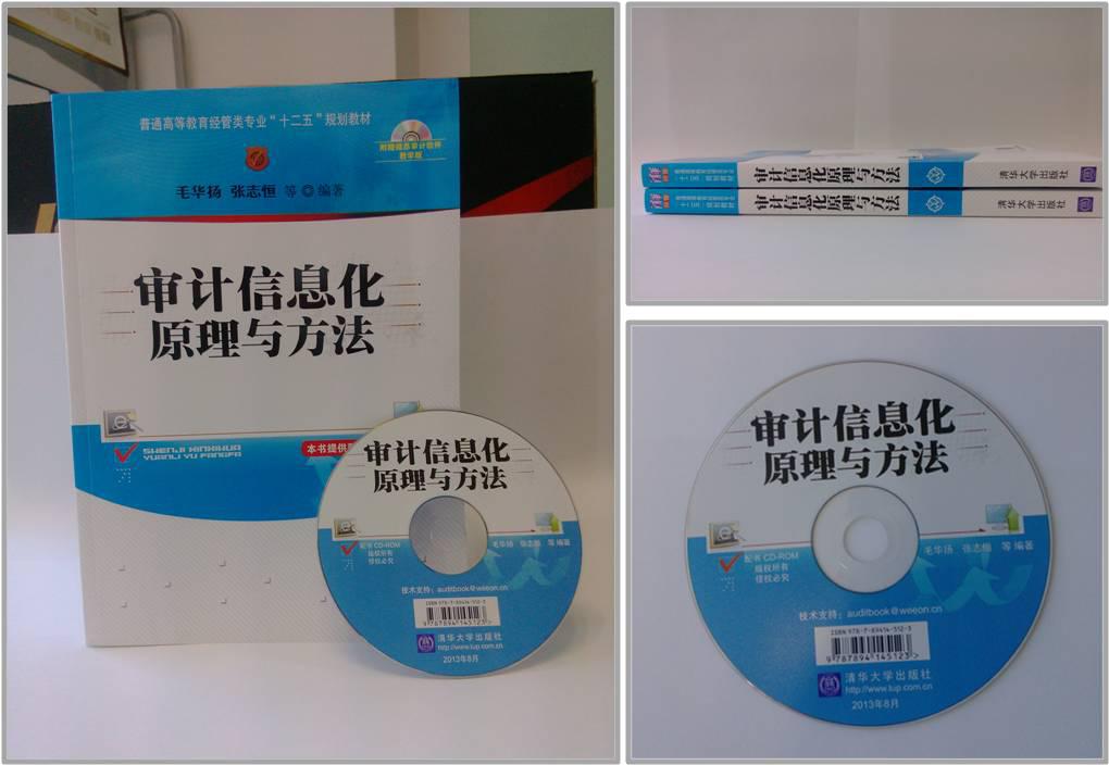 审计信息化原理与方法